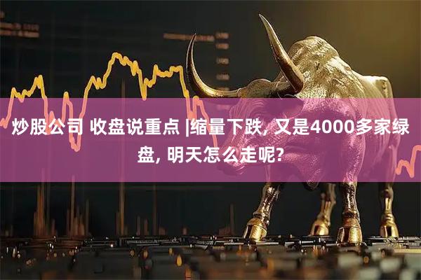 炒股公司 收盘说重点 |缩量下跌, 又是4000多家绿盘, 明天怎么走呢?